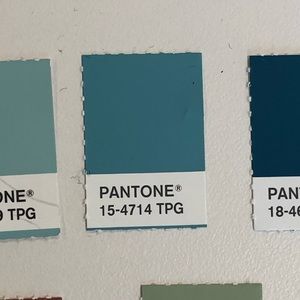 Meet your Posher, Shelley